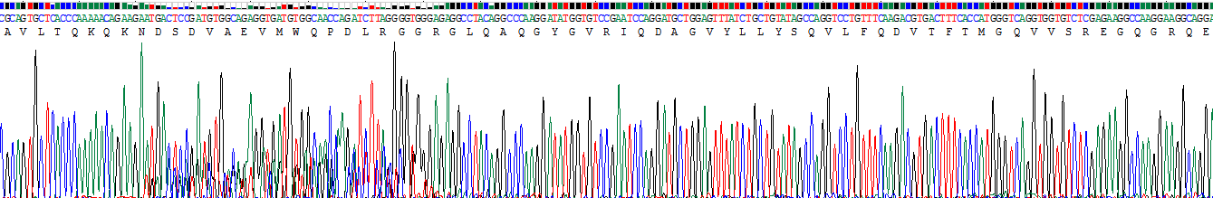 Recombinant Tumor Necrosis Factor Ligand Superfamily, Member 13 (TNFSF13)