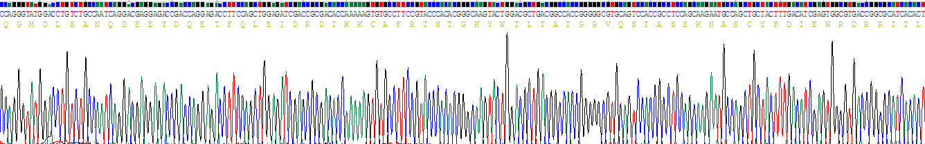 Recombinant Fascin (FSCN)