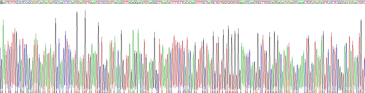 Recombinant Ribonuclease A3 (RNASE3)