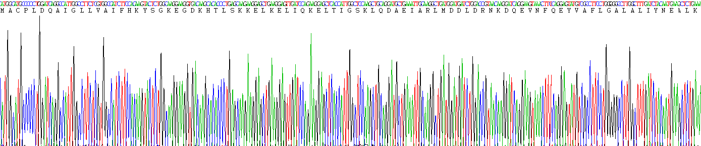 Recombinant S100 Calcium Binding Protein A6 (S100A6)