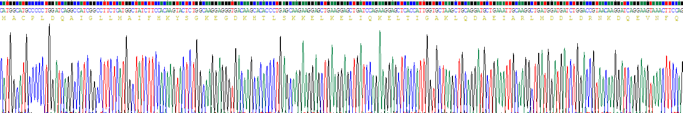 Recombinant S100 Calcium Binding Protein A6 (S100A6)