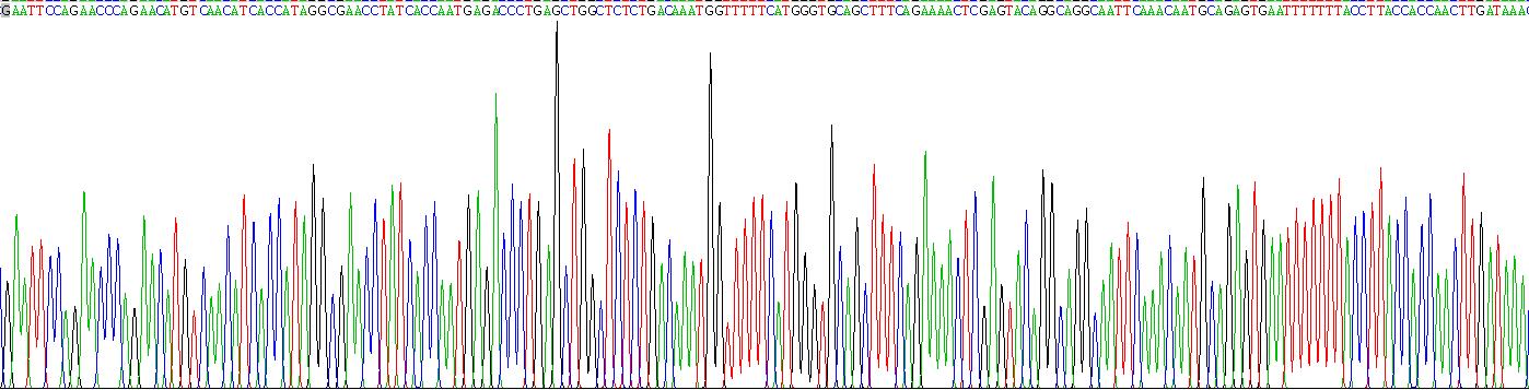 Recombinant Orosomucoid 2 (ORM2)