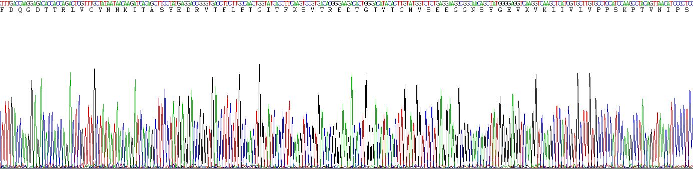 Recombinant Junctional Adhesion Molecule 1 (JAM1)