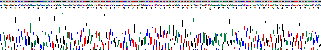 Recombinant Junctional Adhesion Molecule 2 (JAM2)