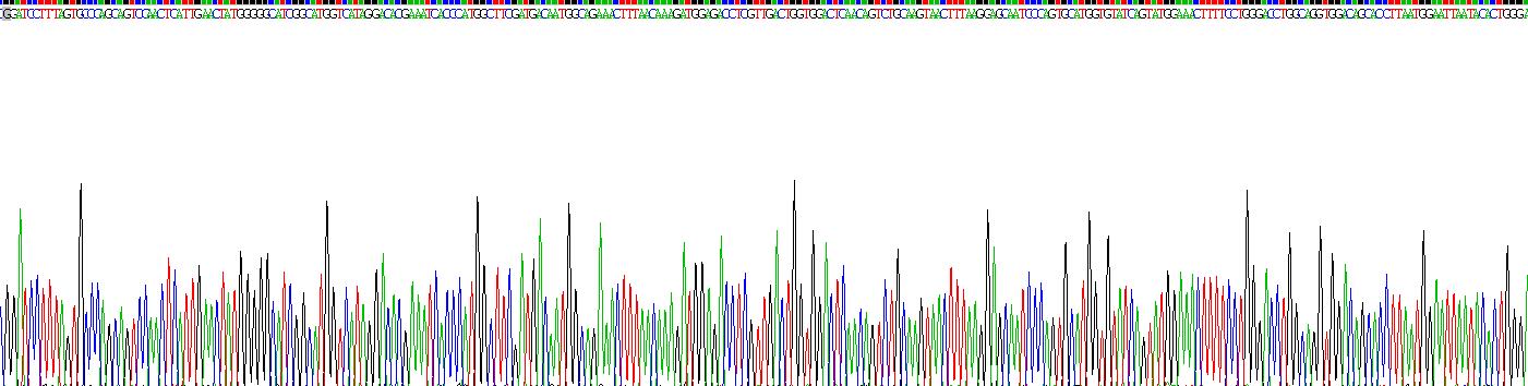 Recombinant Neprilysin (CD10)