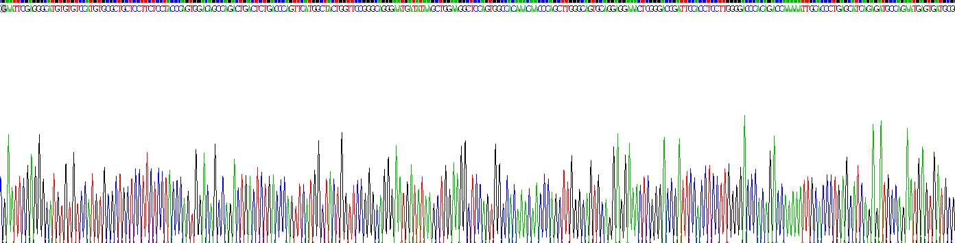 Recombinant Sialic Acid Binding Ig Like Lectin 7 (SIGLEC7)