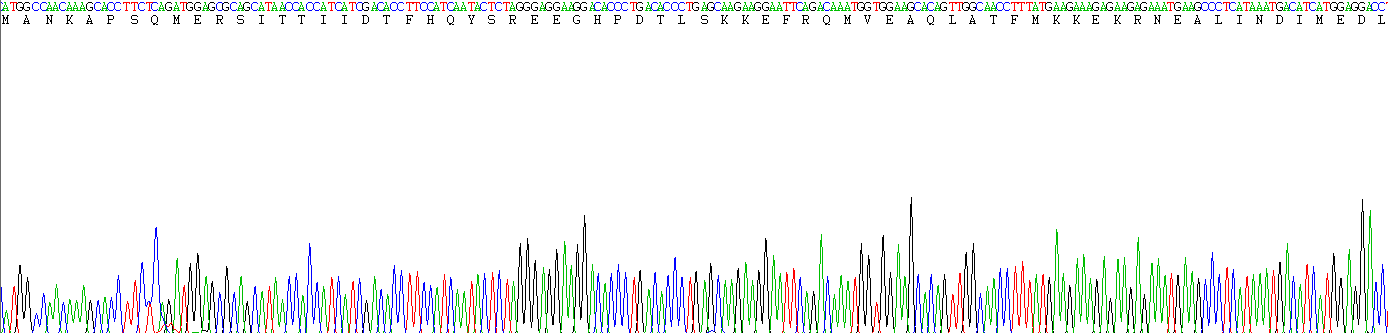 Recombinant S100 Calcium Binding Protein A9 (S100A9)