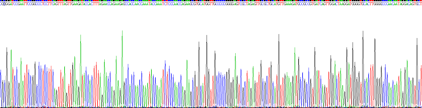 Recombinant Fibroblast Growth Factor Receptor 2 (FGFR2)