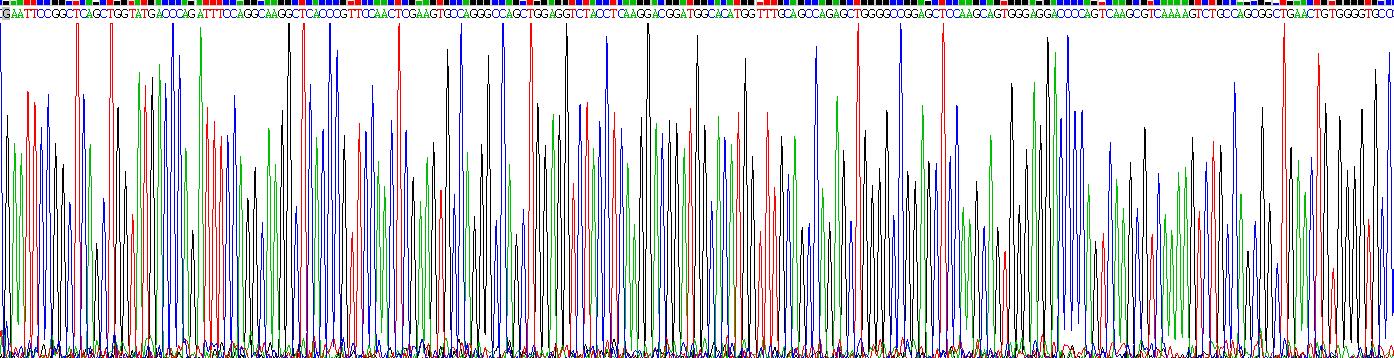 Recombinant Cluster Of Differentiation 5 (CD5)