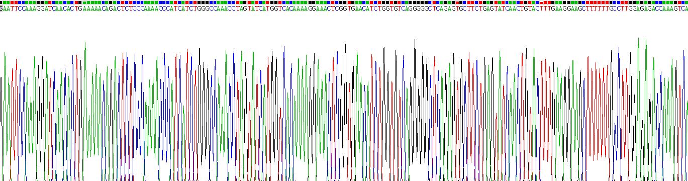 Recombinant Natural Cytotoxicity Triggering Receptor 1 (NCR1)