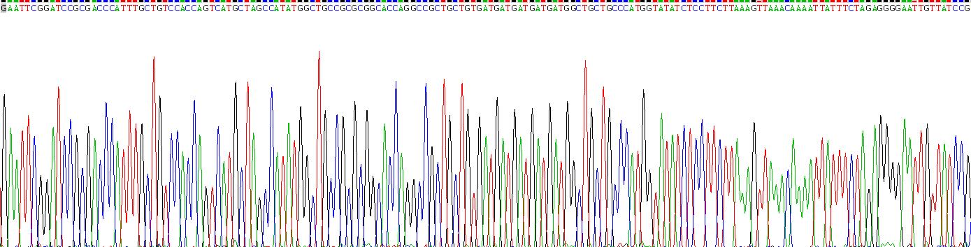 Recombinant Interleukin 32 (IL32)