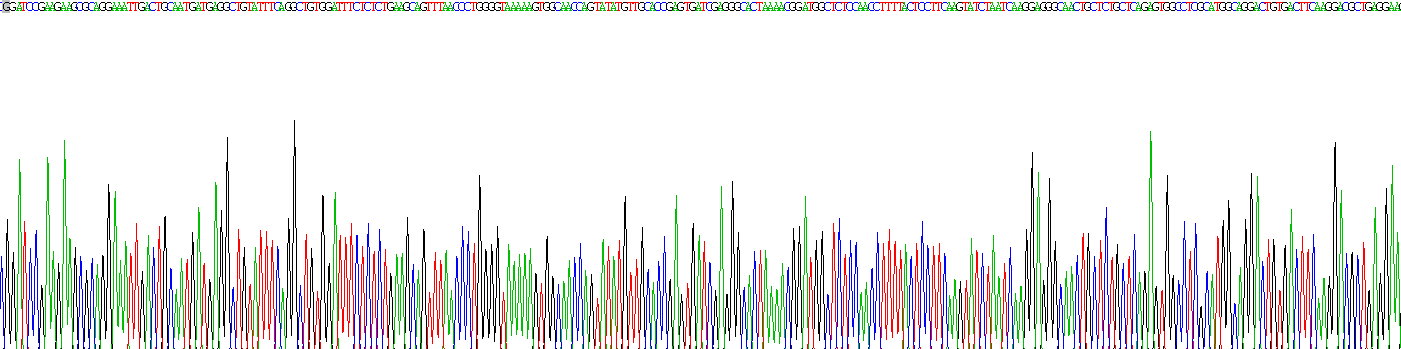 Recombinant High Molecular Weight Kininogen (HMWK)