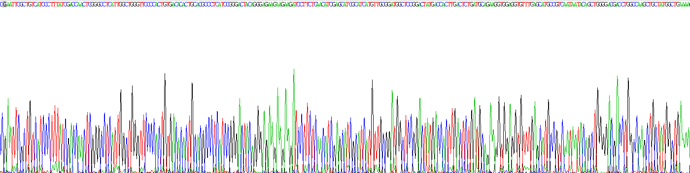 Recombinant Serine/threonine-protein kinase mTOR (mTOR)