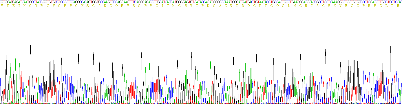 Recombinant Jagged 1 (JAG1)