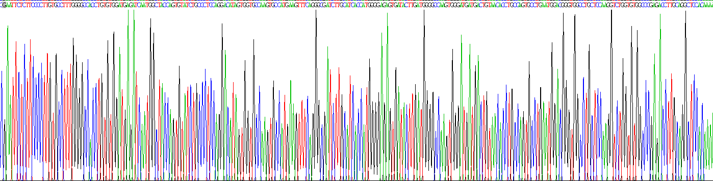 Recombinant Jagged 1 (JAG1)