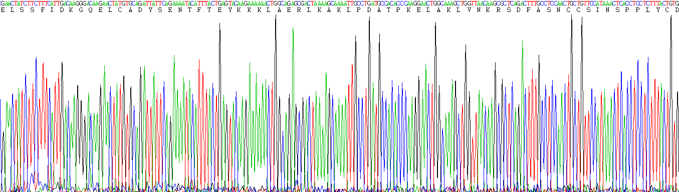 Recombinant Vitamin D Binding Protein (DBP)