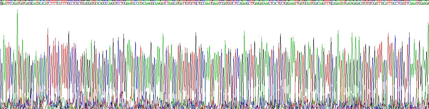 Recombinant Squamous Cell Carcinoma Antigen 1/2 (SCCA1/SCCA2)