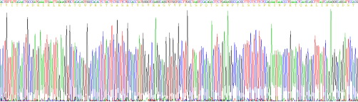 Recombinant Versican (VCAN)