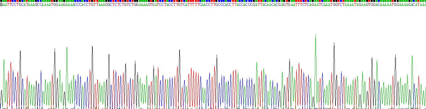 Recombinant Versican (VCAN)