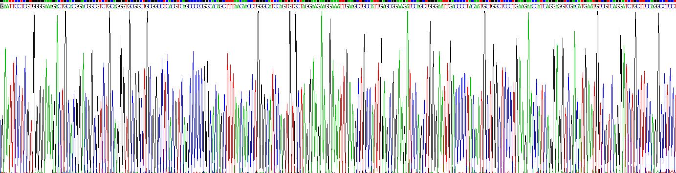 Recombinant V-Rel Reticuloendotheliosis Viral Oncogene Homolog B (RELB)