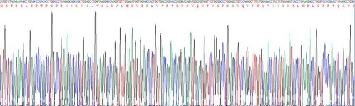 Recombinant Apolipoprotein C4 (APOC4)