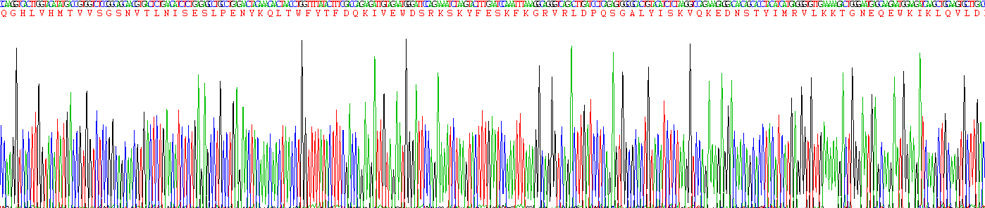 Recombinant Signaling Lymphocytic Activation Molecule Family, Member 2 (SLAMF2)