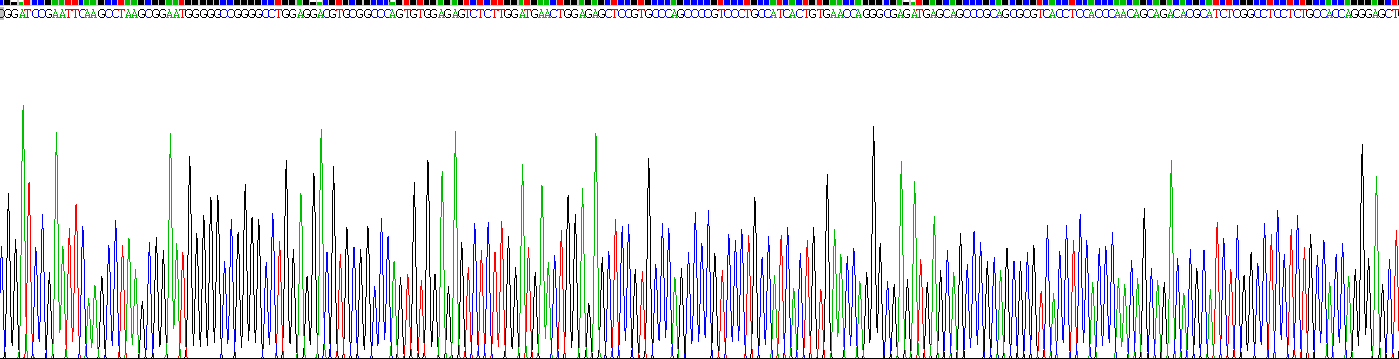 Recombinant Paxillin (PXN)