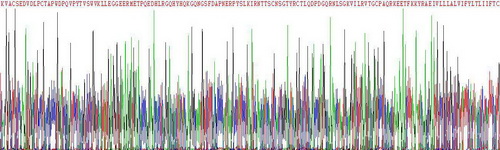 Recombinant Cluster Of Differentiation 83 (CD83)