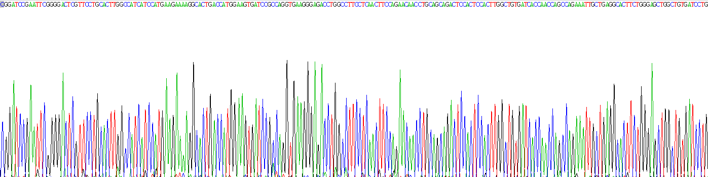 Recombinant Inhibitory Subunit Of NF Kappa B Alpha (IkBa)