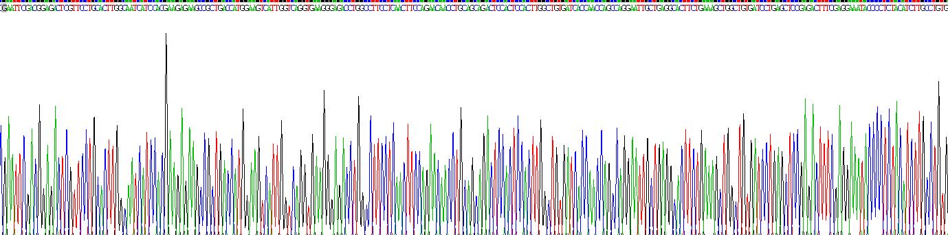 Recombinant Inhibitory Subunit Of NF Kappa B Alpha (IkBa)