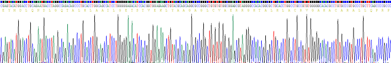 Recombinant Inhibitory Subunit Of NF Kappa B Beta (IkBb)