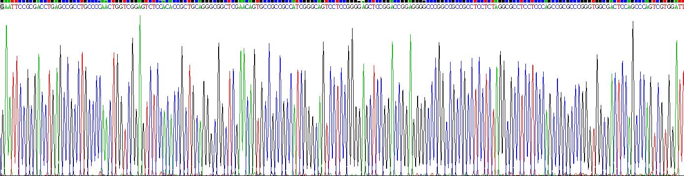 Recombinant Beta-1,4-Galactosyltransferase 1 (b4GALT1)