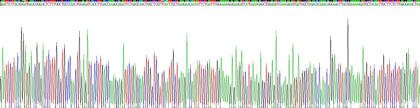 Recombinant Rho Associated Coiled Coil Containing Protein Kinase 2 (Rock2)