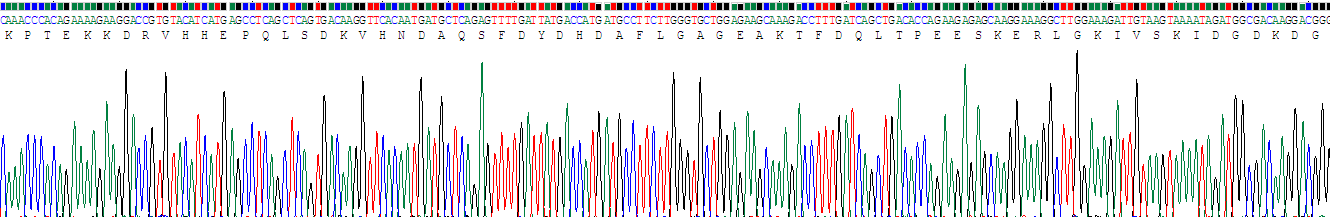 Recombinant Calumenin (CALU)