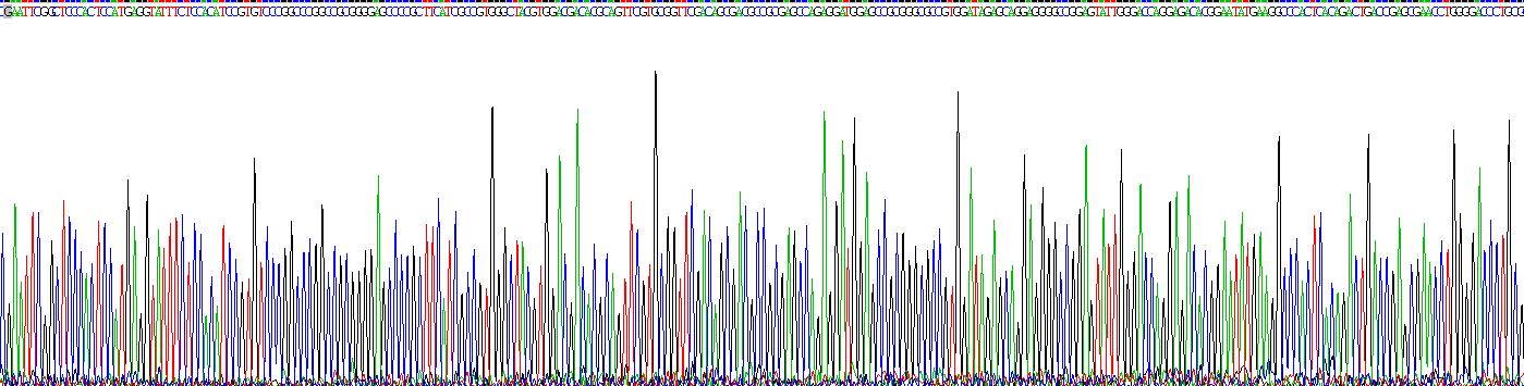 Recombinant Major Histocompatibility Complex Class I G (MHCG)