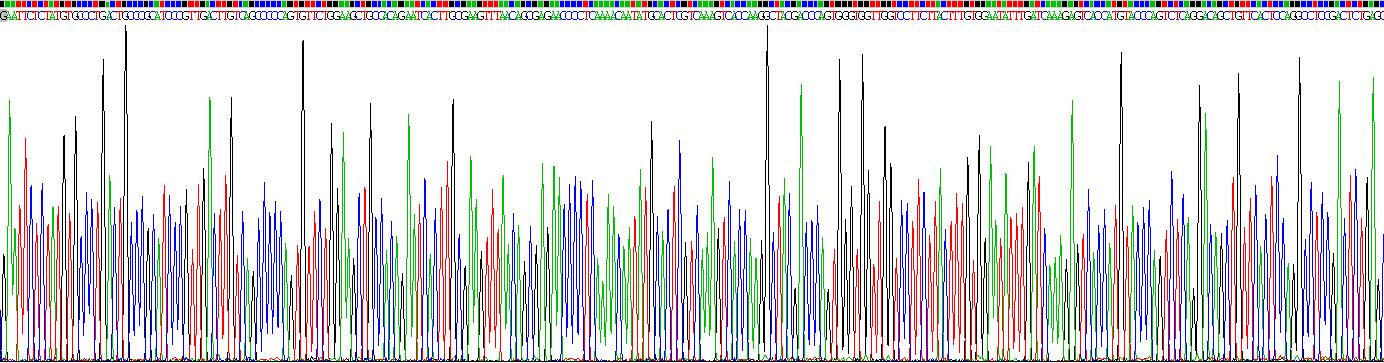 Recombinant Fetuin B (FETUB)