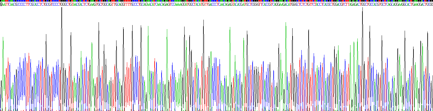 Recombinant Fetuin B (FETUB)