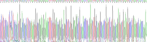 Recombinant Neuregulin 1 (NRG1)