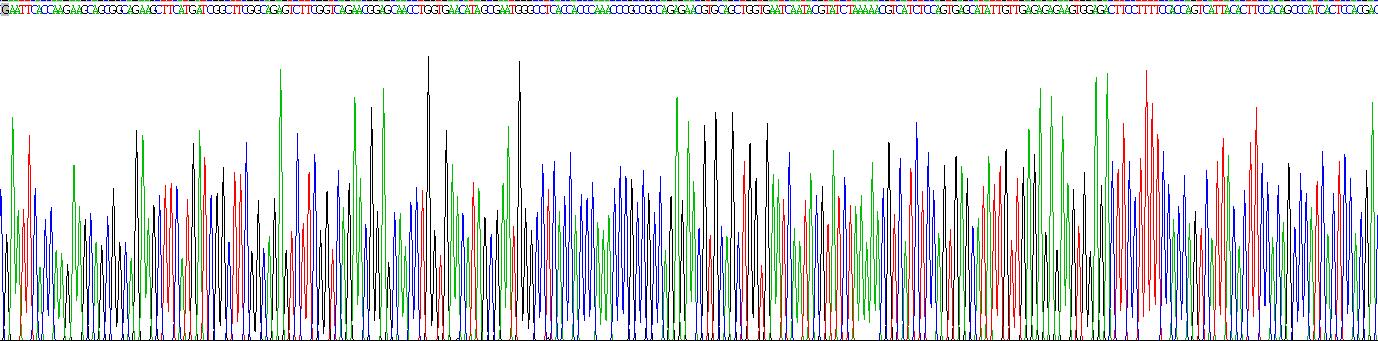 Recombinant Neuregulin 1 (NRG1)