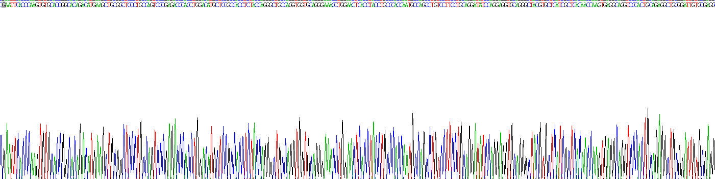 Recombinant Receptor Tyrosine Protein Kinase erbB-2 (ErbB2)