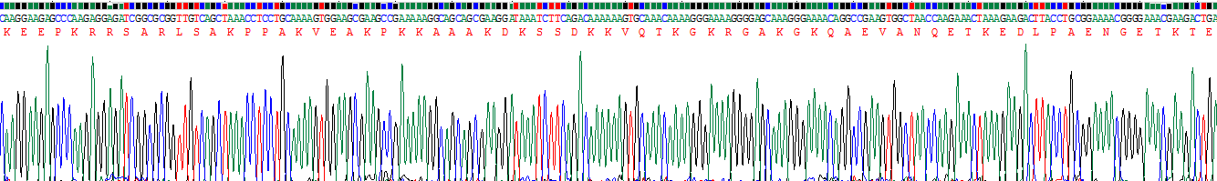 Recombinant High Mobility Group Nucleosome Binding Domain Protein 1 (HMGN1)