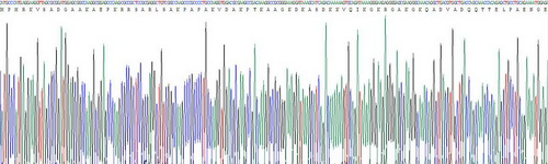 Recombinant High Mobility Group Nucleosome Binding Domain Protein 1 (HMGN1)