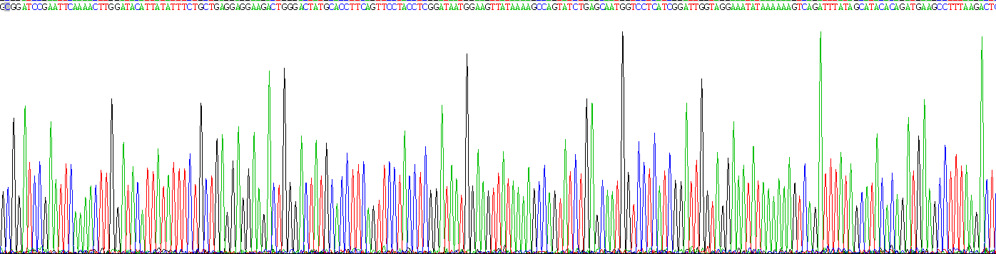 Recombinant Coagulation Factor VIII (F8)