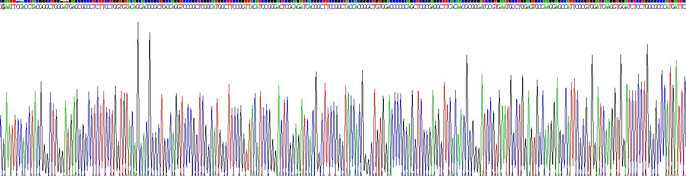 Recombinant Coagulation Factor VIII (F8)