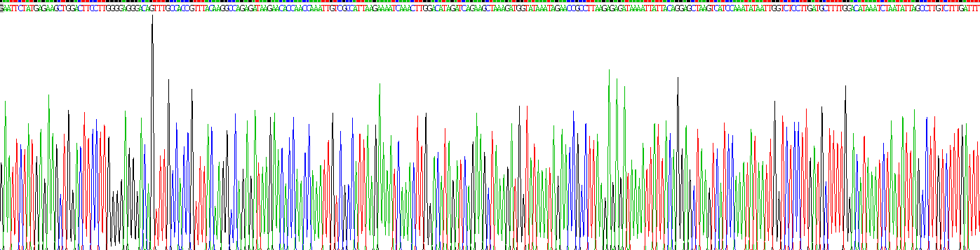 Recombinant Cyclin Dependent Kinase 7 (CDK7)