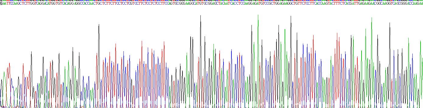 Recombinant Fibroblast Growth Factor 10 (FGF10)