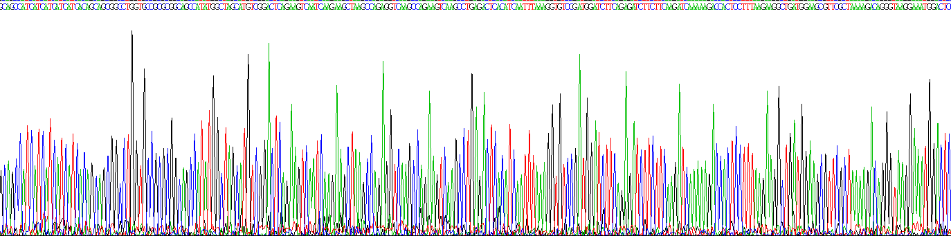 Recombinant Apolipoprotein B48 (APOB48)