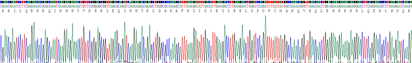 Recombinant Eukaryotic Translation Initiation Factor 3A (EIF3A)