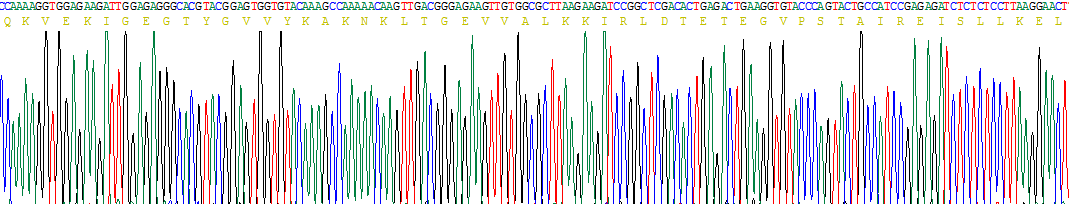 Recombinant Cyclin Dependent Kinase 2 (CDK2)