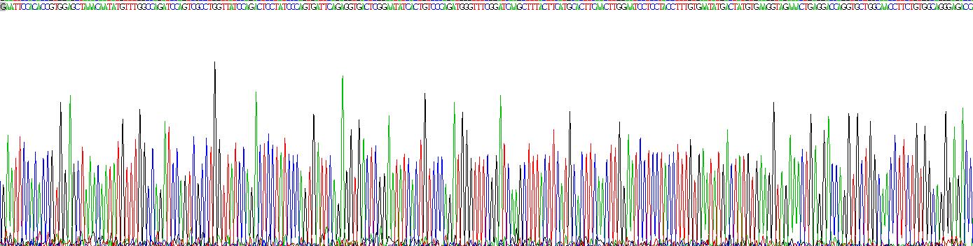 Recombinant Mannose Associated Serine Protease 1 (MASP1)